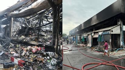 തായ്ലാൻഡിലെ പ്രശസ്തമായ ചന്തയിൽ അഗ്നിബാധ, എരിഞ്ഞമർന്നത് ആയിരത്തോളം വളർത്തുമൃഗങ്ങൾ