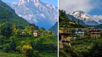 Shoghi: Explore this offbeat destination in Himachal Pradesh this summer