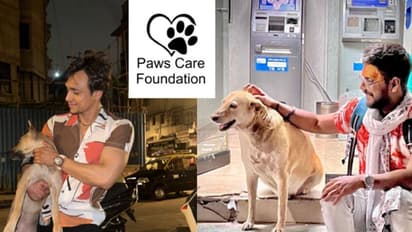 Manish Chaurasia and Ansh Mishra Lead Paws Care Foundation’s Efforts to Help Stray Dogs During June Rain