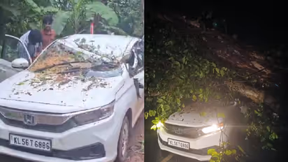 പൊലീസുകാരിയും കുടുംബവും സഞ്ചരിച്ച കാറിന് മുകളിൽ കൂറ്റൻ മരങ്ങൾ കടപുഴകി, കുട്ടികളടക്കം രക്ഷപ്പെട്ടത് തലനാരിഴക്ക്
