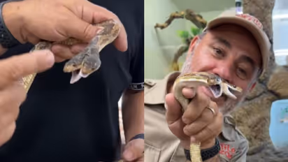 Viral Video: Rare Two-Headed Snake Video Goes Viral from Zoo Enclosure [WATCH]