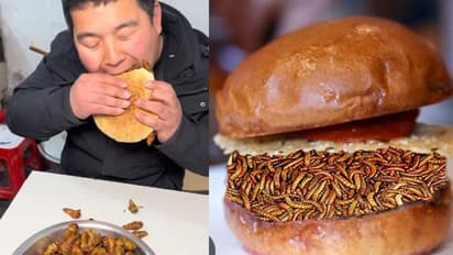 ವೈರಲ್ ಹುಳುಗಳ ಬರ್ಗರ್; 'ಮೊದಲು ನೀವದನ್ನು ತಿನ್ನಿ ನಂತರ ಅವು ನಿಮ್ಮನ್ನು ತಿನ್ನುತ್ತವೆ!'