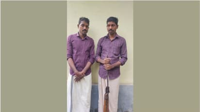 മയിലിനെ വെടിവെച്ചിട്ട് പാകം ചെയ്‌തു കഴിച്ചു; സഹോദരൻമാർ അറസ്‌റ്റിൽ