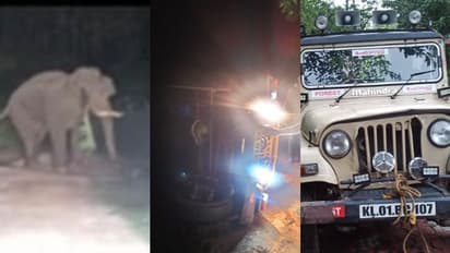 ഷോളയൂരിൽ വനംവകുപ്പിന്റെ ജീപ്പിന് നേരെ പാഞ്ഞടുത്ത് ഒറ്റയാൻ, വാഹനം കുത്തിമറിച്ചിട്ടു; തലനാരിഴയ്ക്ക് രക്ഷ!