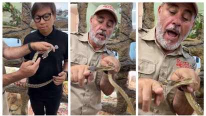  'രണ്ട് തവണ കടിയേറ്റു...'; ഇരുതല പാമ്പിനെ സന്ദർശകരെ കാണിക്കുന്നതിനിടെ മൃഗശാല ജീവനക്കാരന് കടിയേൽക്കുന്ന വീഡിയോ 