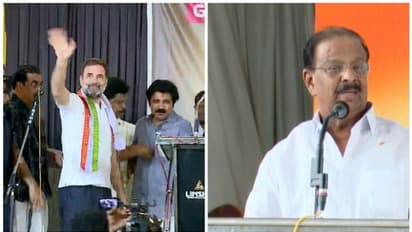 'രാഹുൽ ഗാന്ധി വയനാട് ഒഴിയും; നേട്ടത്തിൽ സന്തോഷം, വയനാട് വിടുന്നതിൽ ദുഃഖമുണ്ട്': കെ സുധാകരൻ