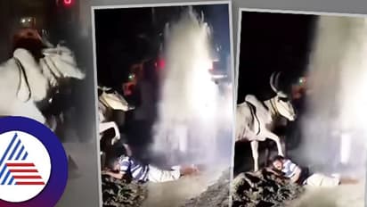 ಮನೆಗ ಬಂದ ಹಸು, ಚಿಮ್ಮಿದ ನೀರು; ಕಾಮಧೇನು ಆಶೀರ್ವಾದದ ವೀಡಿಯೋ ವೈರಲ್!