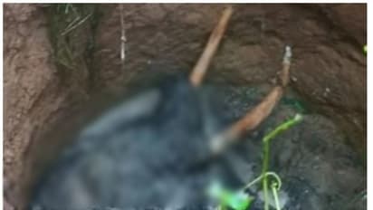 കിണറില് അഴുകിയ നിലയില് കണ്ടെത്തിയ കാട്ടാനയുടെ ജഡം സംസ്കരിച്ചു; കൊമ്പുകള് സ്ട്രോങ്ങ് റൂമിലേക്ക് മാറ്റും