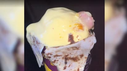 Mumbai Ice Cream Case