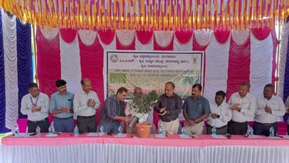 ಚಾಮರಾಜನಗರ:  ಮುಂಗಾರು ತಡ: ಸೂರ್ಯಕಾಂತಿ, ಹತ್ತಿ ಬಿತ್ತನೆ ಇ‍ಳಿಮುಖ