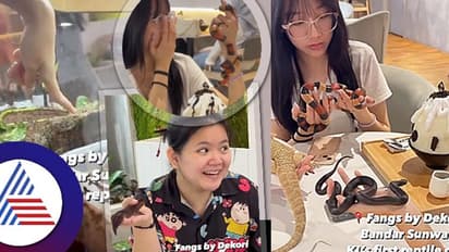  Snake Cafe : ಮೈಮೇಲೆ ಹಾವು ಬಿಡ್ಕೊಂಡು ಕಾಫಿ ಹೀರ್ತಾರೆ ಇಲ್ಲಿ!