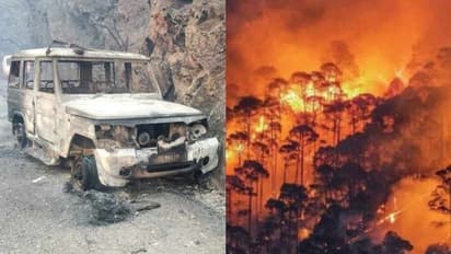 ബിൻസാർ വന്യജീവി സങ്കേതത്തിലെ കാട്ടുതീ; 4 വനംവകുപ്പ് ഉദ്യോഗസ്ഥർ മരിച്ചു, തീ നിയന്ത്രണ വിധേയമാക്കാൻ തീവ്രശ്രമം