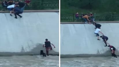 'മനുഷ്യത്വത്തിലുള്ള വിശ്വാസം നിലനിർത്താൻ ഇങ്ങനെ കുറച്ചാളുകൾ വേണം', വീഡിയോ കണ്ടുനോക്കൂ