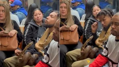 Man seen carrying live snakes inside metro prompts online discussion [WATCH]