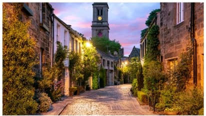 പൂന്തോട്ടത്തിൽ നിന്ന് വിചിത്രമായ ശബ്ദം; യുവതി വാതില് തുറന്നപ്പോള് കണ്ട കാഴ്ച ഏറ്റെടുത്ത് സോഷ്യല് മീഡിയയ