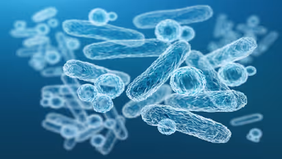 இரண்டே நாளில் சாகடிக்கும் அரிய வகை சதை உண்ணும் பாக்டீரியா! ஜப்பானில் பரவுவதாகத் தகவல்!