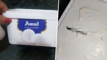 Noida woman finds centipede inside Amul Ice Cream tub ordered online, video goes viral (WATCH)
