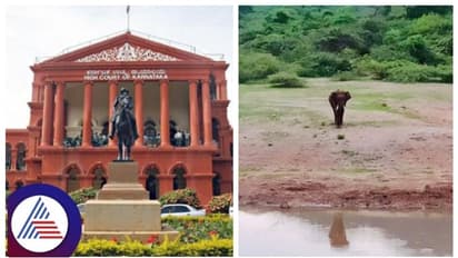 ಆನೆ ಸಾವು ತಡೆಯಲು ಏನು ಕ್ರಮಕೈಗೊಂಡಿದ್ದೀರಿ: ಕೇಂದ್ರ ಮತ್ತು ರಾಜ್ಯಕ್ಕೆ ಕರ್ನಾಟಕ ಹೈಕೋರ್ಟ್ ನೊಟೀಸ್
