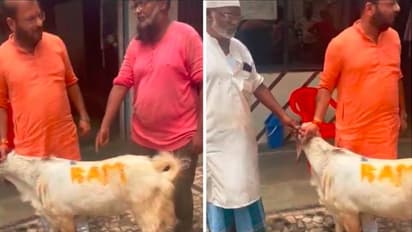 ಬಕ್ರೀದ್ ಕುರ್ಬಾನಿಗೆ ತಂದ ಮೇಕೆ ಮೇಲೆ ರಾಮನ ಹೆಸರು : ಸಿಟ್ಟಿಗೆದ್ದ ಜನ, ಮಾಂಸದಂಗಡಿ ಮಾಲೀಕನ ಬಂಧನ