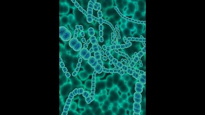 மனித உடலுக்குள் ஒளிந்திருக்கும் அறியப்படாத அதிசயங்கள்! புரியாத புதிர்கள்!!