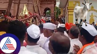 ಚಿಕ್ಕೋಡಿಯಲ್ಲಿ ಬರೋಬ್ಬರಿ 1 ಲಕ್ಷ 80 ಸಾವಿರ ರೂ.ಗೆ ಮಾರಾಟವಾದ ಮೇಕೆ!