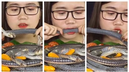 പാമ്പിനെ ആസ്വദിച്ച് കഴിക്കുന്ന ദക്ഷിണ കൊറിയന് യുവതിയുടെ വീഡിയോ വൈറല്; വിമർശിച്ച് സോഷ്യല് മീഡിയ