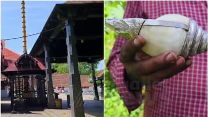 മാലിന്യക്കൂമ്പാരത്തില് വെള്ളി കെട്ടിയ ശംഖ്; കിട്ടിയത് അമ്പലപ്പുഴ ശ്രീകൃഷ്ണ സ്വാമി ക്ഷേത്രപരിസരത്ത് നിന്ന്