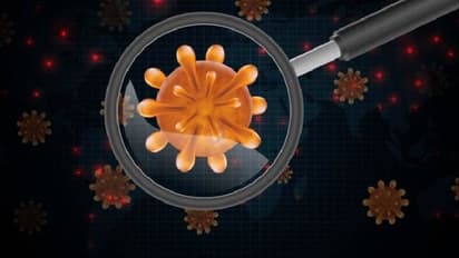 मांस खाने वाले बैक्टीरिया का आतंक, लोग हो रहे मौत का शिकार, आखिर कौन-सा इंफेक्शन शरीर में दे रहा है दस्तक