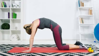 International Day of Yoga 2024: This one yoga asana can help relieve back pain