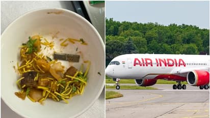 ഭക്ഷണം വായിൽവെച്ചപ്പോൾ എന്തോ അസ്വാഭാവികത, നോക്കിയപ്പോൾ ബ്ലേഡ്; എയർ ഇന്ത്യക്കെതിരെ യാത്രക്കാരൻ