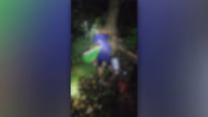 കോഴിഫാമിലെ വൈദ്യുതി വേലിയിൽ നിന്ന് ഷോക്കേറ്റ് വയോധിക മരിച്ചു; ഫാം ഉടമ കസ്റ്റഡിയിൽ