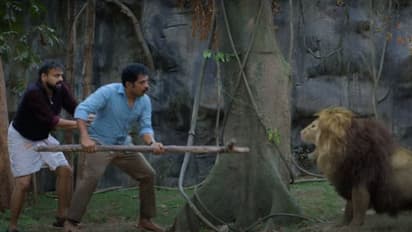 സിംഹത്തിന് മുന്നില്‍ പെടുന്ന ചാക്കോച്ചനും സുരാജും; 'ഗര്‍ര്‍ര്‍' സക്സസ് ടീസര്‍