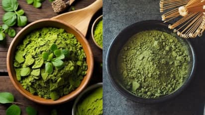 Moringa Powder:ఈ చిట్టి చిట్టి ఆకుల పొడి చిటికెడు తిన్నా చాలు..!