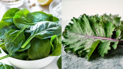 ಪಾಲಕ್ ಸೊಪ್ಪು ಕತ್ತರಿಸಿ ತೊಳೆಯಬೇಕಾ? ತೊಳೆದು ಕತ್ತರಿಸಬೇಕಾ? ಇಲ್ಲಿದೆ ಉತ್ತರ