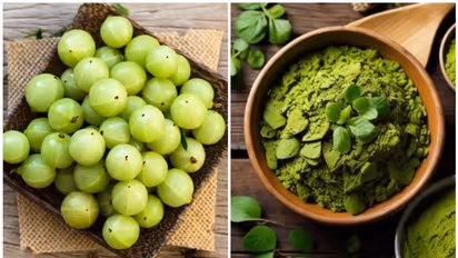 ನುಗ್ಗೆ ಸೊಪ್ಪು ಅಂತಿಂಥ ಸೊಪ್ಪಲ್ಲ… ಇದರ ಜ್ಯೂಸ್ ಮಾಡಿ ಕುಡಿದ್ರೆ ಆರೋಗ್ಯ ಕೆಡೋದೇ ಇಲ್ಲ