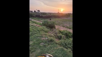 ಬೆಳ್ಳಂಬೆಳಗ್ಗೆ ದೇವಸಮುದ್ರ ಗ್ರಾಮಕ್ಕೆ ನುಗ್ಗಿದ ಕರಡಿಗಳು! ಬೆಚ್ಚಿಬಿದ್ದ ಗ್ರಾಮಸ್ಥರು!