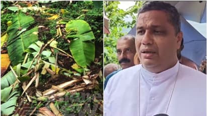 വന്യമൃഗ ശല്യം:'മന്ത്രിയോട് പരാതിപ്പെട്ടതെല്ലാം ചെന്നെത്തിയത് ബധിര കര്ണങ്ങളിൽ'; സര്ക്കാരിനെതിരെ പാംപ്ലാനി