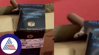 ಅಮೇಜಾನ್‌ನಲ್ಲಿ ಎಕ್ಸ್‌ಬಾಕ್ಸ್ ಆರ್ಡರ್ ಮಾಡಿದ ದಂಪತಿಗೆ ಪಾರ್ಸೆಲ್ ಜೊತೆ 'ನಾಗರಹಾವು' ಫ್ರೀ!