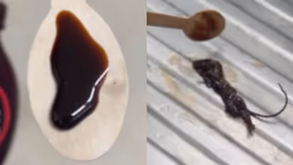  Family Discovers Dead Mouse in Sealed Hershey’s Chocolate Syrup; Company Issues Apology