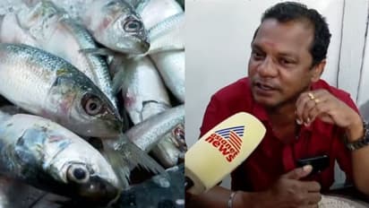 'അഞ്ച് രൂപയ്ക്ക് ചട്ടി നിറയെ ചാള കിട്ടിയിരുന്ന കാലമുണ്ടായിരുന്നു'; മത്തിക്ക് ഇന്ന് പൊന്നുംവില, 400ൽ എത്തി