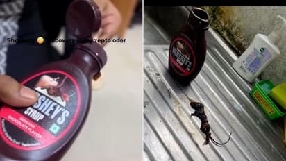 Mumbai SHOCKER! Dead mouse found in Hershey's chocolate syrup, outrage forces company to respond (WATCH)