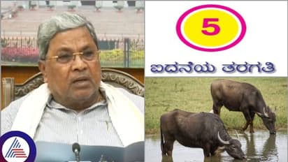 ನಾನು 1ರಿಂದ 4ನೇ ಕ್ಲಾಸ್ ಓದಿಲ್ಲ, ಡೈರೆಕ್ಟ್ 5ನೇ ಕ್ಲಾಸಿಗೆ ಶಾಲೆಗೆ ಸೇರಿದೆ; ಸಿಎಂ ಸಿದ್ದರಾಮಯ್ಯ