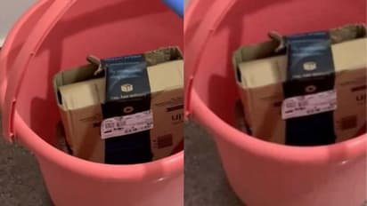 அமேசான் பார்சலில் பாம்பு.. எக்ஸ்பாக்ஸ் கன்ட்ரோலரை ஆர்டர் செய்தவருக்கு காத்திருந்த அதிர்ச்சி!