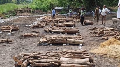 எங்கோ பிறந்து, வளர்ந்து, சாவில் ஒரே இடத்திற்கு செல்லும் கள்ளக்குறிச்சி மரணங்கள்.. நெஞ்சை உருக்கும் சம்பவம்!!