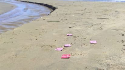 ರಾಜ್ಯದ ಕಡಲತೀರದಲ್ಲಿ ರಾಶಿ ರಾಶಿ ಕಾಂಡೋಮ್ ಪ್ಯಾಕೇಟ್‌ಗಳು ಪತ್ತೆ