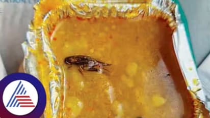 ವಂದೇ ಭಾರತ್ ರೈಲಿನ ಊಟದಲ್ಲಿ ಜಿರಳೆ ಪತ್ತೆ; ಪ್ರಯಾಣಿಕರ ಕ್ಷಮೆಯಾಚಿಸಿದ ಐಆರ್‌ಟಿಸಿ!