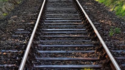 വടകരയ്ക്കും മാഹിക്കും ഇടയിൽ റെയിൽവേ ലൈനിലെ സിഗ്നൽ കേബിളുകൾ മുറിച്ചുമാറ്റി, 2 പേര് കസ്റ്റഡിയിൽ