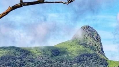 Ettina Bhuja: ಕಾಫಿನಾಡ ಸುಪ್ರಸಿದ್ಧ ಪ್ರವಾಸಿ ತಾಣ ಎತ್ತಿನಭುಜಕ್ಕೆ ಪ್ರವಾಸಿಗರಿಗೆ ನಿರ್ಬಂಧ: ಕಾರಣವೇನು?