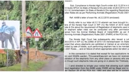 ഒരാനയുടെ രജിസ്ട്രേഷന്റെ മറവിൽ ഒന്നിലധികം ആനകളെ നിരത്തി സഫാരി തകൃതി; നടപടിയെടുക്കാതെ ഇടുക്കി ജില്ലാ ഭരണകൂടം