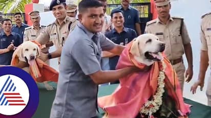 ಹಲವರ ಜೀವ ಉಳಿಸಿದ ಸ್ನೈಫರ್ ಡಾಗ್ ನಿವೃತ್ತಿ, ಗೌರವ ಸನ್ಮಾನದ ಬಳಿಕ ಪೊಲೀಸರು ಭಾವುಕ!